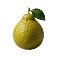Bergamot