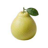 Pomelo