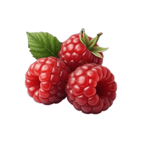 Red Berries
